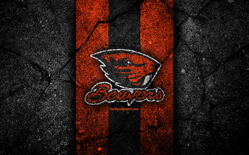 Oregon State Beavers american football team, NCAA, orange black stone, USA, asphalt texture, american football, Oregon State Beavers logo, HD wallpaper
