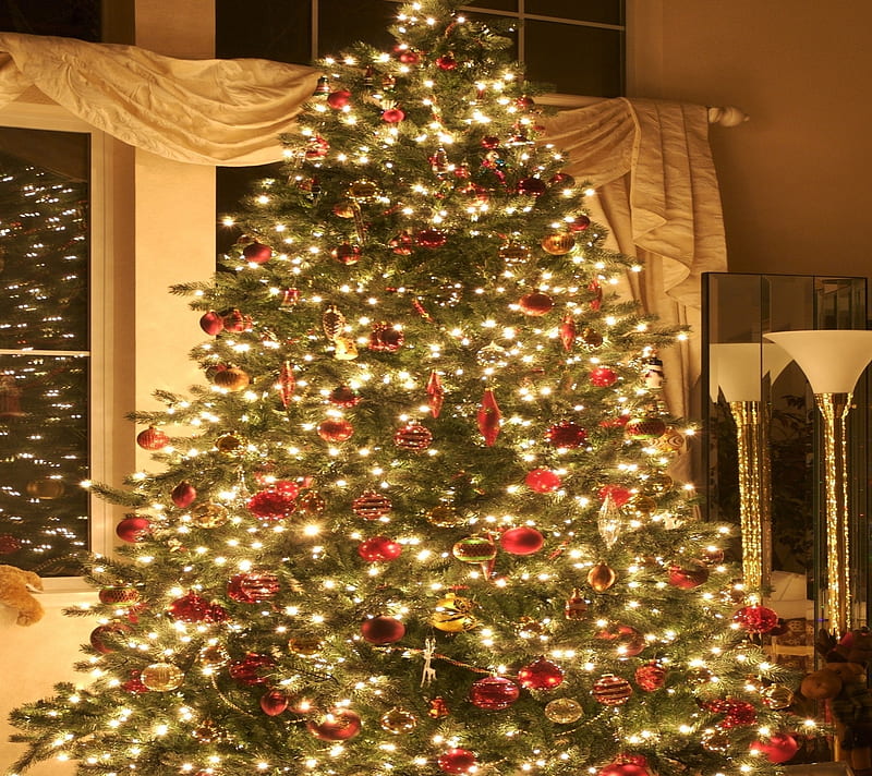 Christmas tree, christmas, HD wallpaper | Peakpx