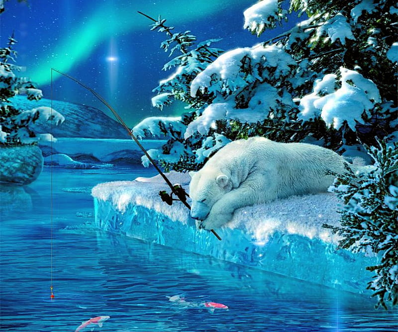 Sleeping Fisher Bear, stars, fishes, ice, northern light, trees, sky, artwork, polar bear, HD wallpaper