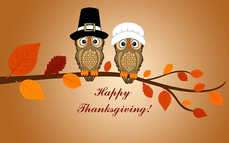Thanksgiving Greetings, Fall, leaves, Thanksgiving, Autumn, Happy Thanksgiving, branch, owls, hat, HD wallpaper