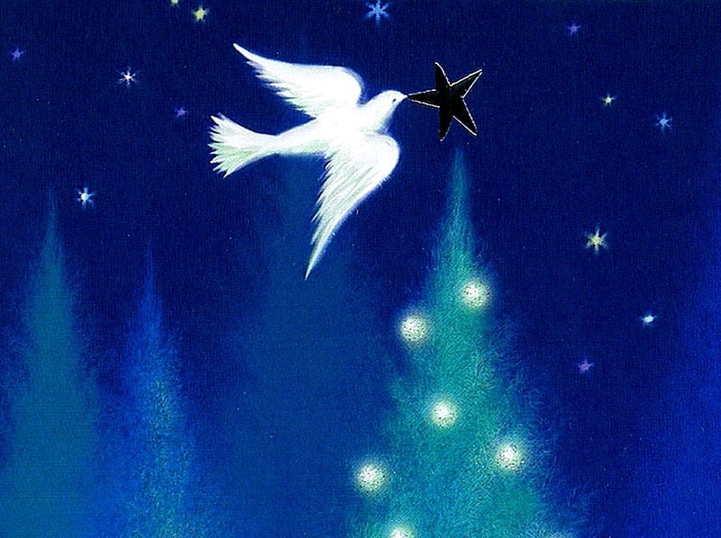 DOVE STAR TREE, tree, bird, christmas, dove, star, HD wallpaper