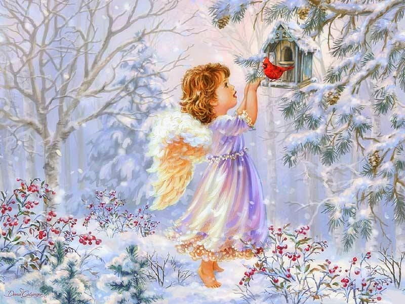 Winter's Little Angel, Christmas, wings, holidays, love four seasons, attractions in dreams, angels, xmas and new year, winter, cardinals, paintings, snow, HD wallpaper