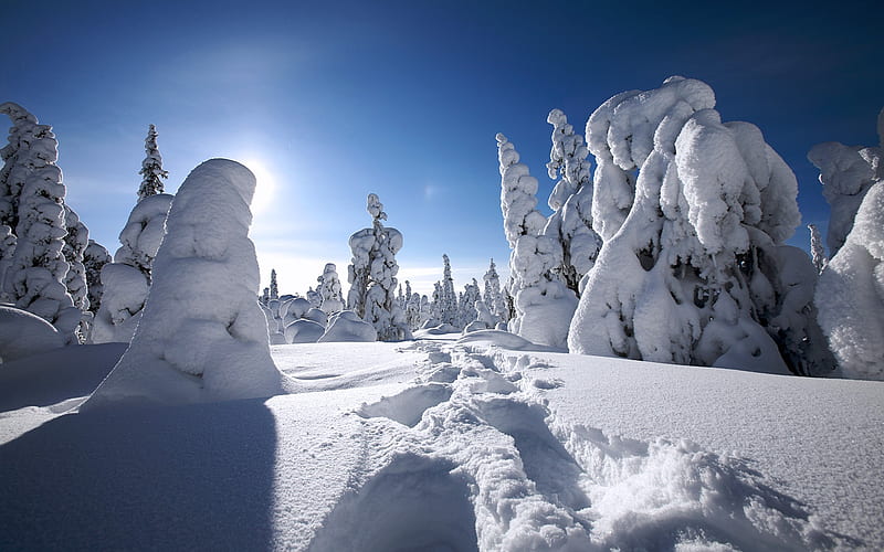 Finnish Lapland snow-covered, HD wallpaper