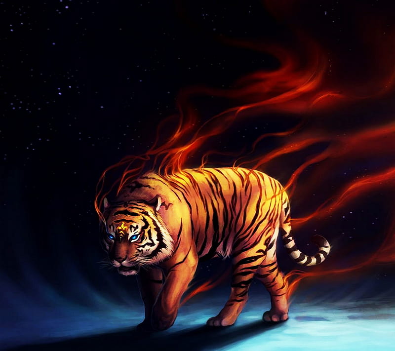 Tiger, animal, drawn, fire, lion, HD wallpaper | Peakpx