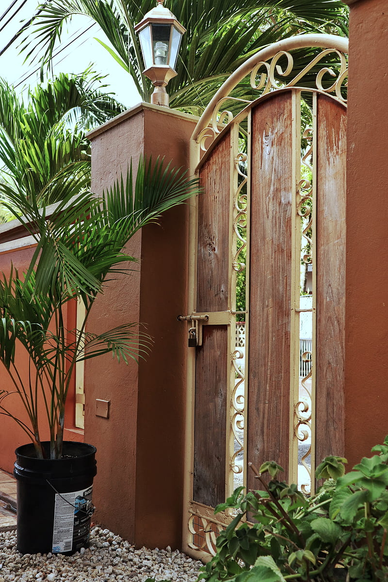 Nature Gate, door, flowers, house, natural, vintage, wood, HD phone wallpaper