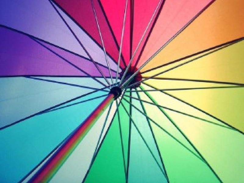 Colourful Umbrella, Umbrella, Colours, Decoration, Colourful, HD