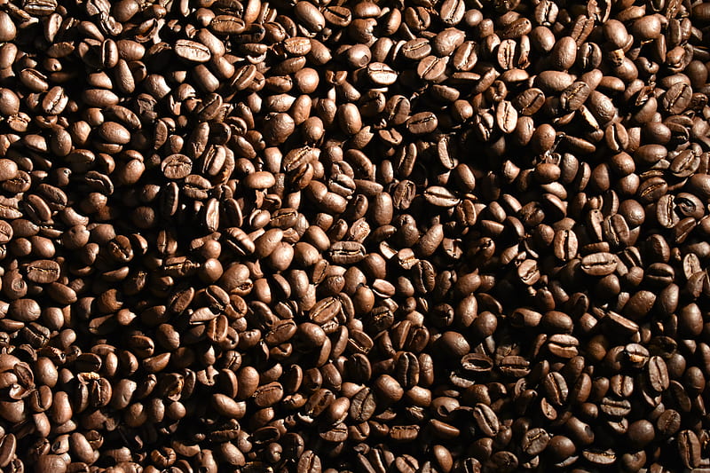 coffee beans, beans, coffee, cinnamon, macro, HD wallpaper