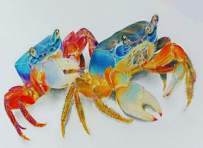 Crabs, Blue, Carcinology, Art, Yellow, Red, HD wallpaper
