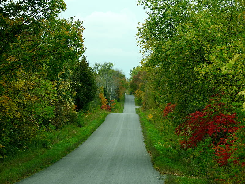 Slight Detour, Trees, Sky, Back Road, graphy, Autumn, Nature, HD wallpaper