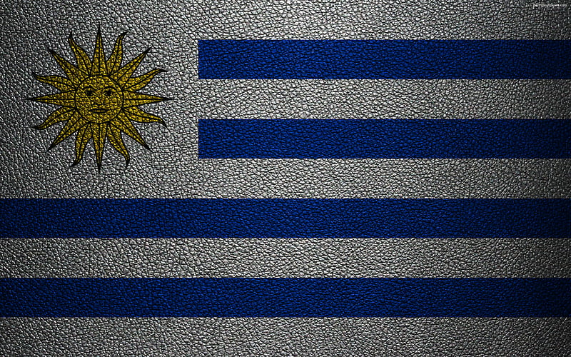 Flag of Uruguay leather texture, Uruguayan flag, South America, Uruguay, HD wallpaper