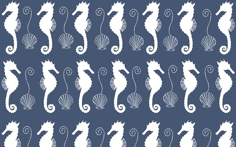 Texture, pattern, seahorse, shell, summer, paper, white, blue, HD wallpaper