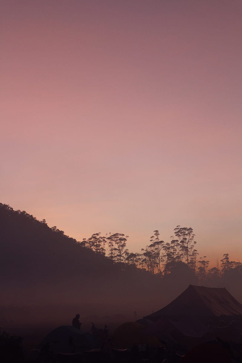 camping, dusk, fog, tents, nature, HD phone wallpaper