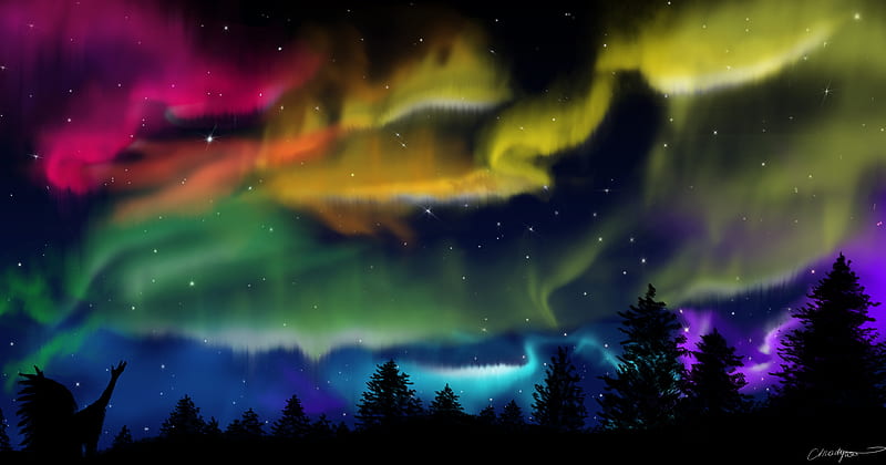 northern lights, silhouette, shaman, forest, sky, night, HD wallpaper