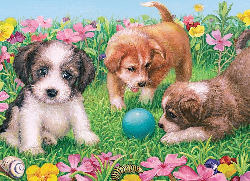 PUPPIES AT PLAY, playing, ball, puppies, yard, HD wallpaper