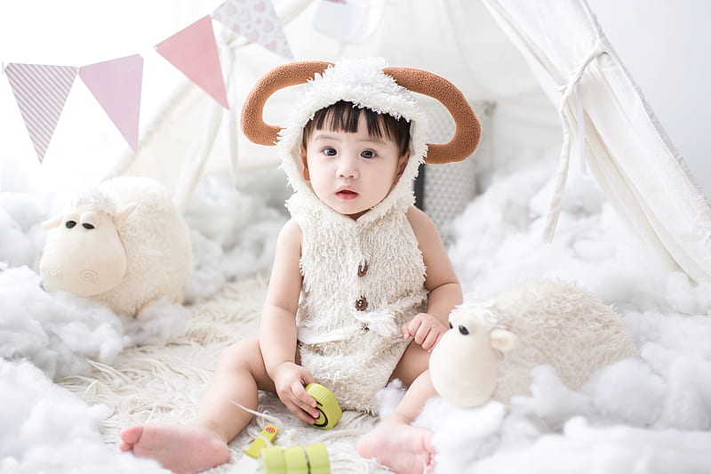 baby sitting beside white sheep plush toy, HD wallpaper