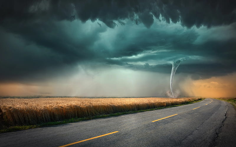 tornado, natural cataclysms, wheat field, dangerous natural phenomena, atmospheric vortex, HD wallpaper