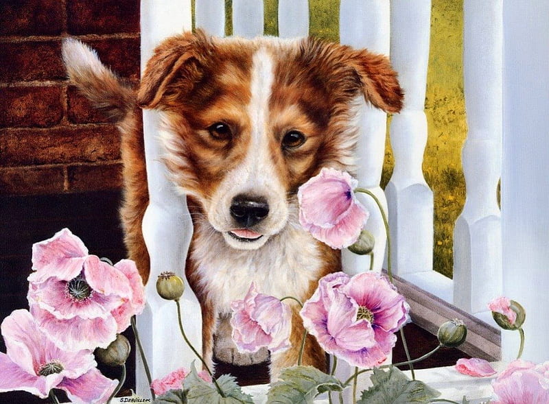 Cute puppy, fence, pretty, poppies, bonito, adorable, sweet, nice, painting, flowers, dog, puppy, lovely, spring, yard, cute, pet, summer, garden, HD wallpaper