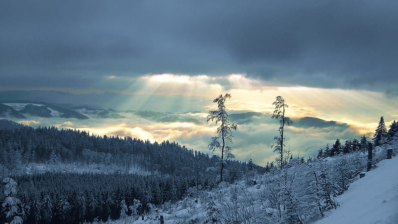 gorgeous sun rays over forest in winter, mountains, sun rays, forests, clouds, fog, winter, HD wallpaper