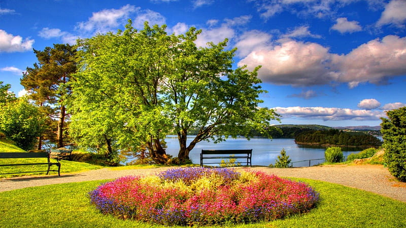 Place for rest, shore, grass, bonito, clouds, nice, flowers, rest, lovely, fresh, relax, place, bench, park, sky, trees, lake, alleys, summer, garden, nature, HD wallpaper