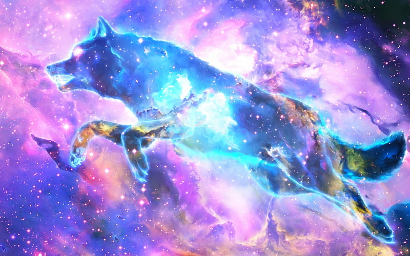 Wolf nebula, stars, fantasy, luminos, nebula, wolf, sky, pink, blue, HD wallpaper