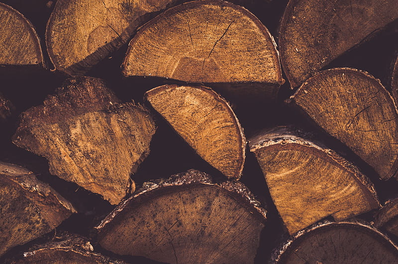 firewoods, stack, close-up, Nature, HD wallpaper