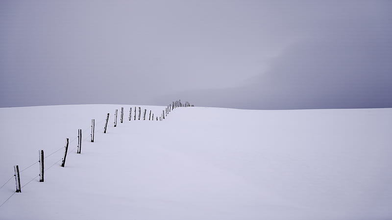 snow, field, fence, minimalism, white, HD wallpaper