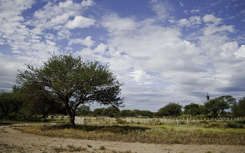 Calden, fence, rural, trees, clouds, skies, argentina, dirt, nature, fields, road, blue, HD wallpaper