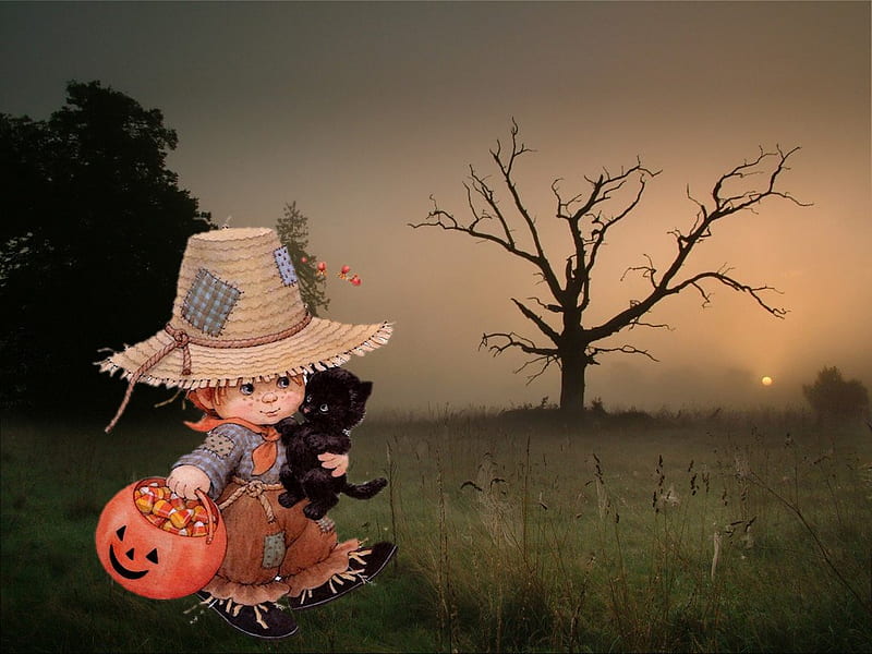 Halloween is here!, october 31, witch, grass, halloween, cat, mist, cute, boy, pumpkin, night, HD wallpaper