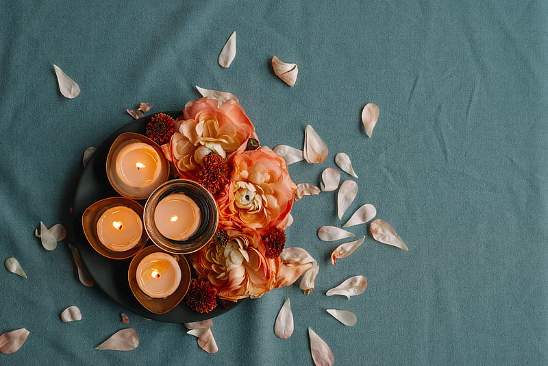 graphy, Candle, Flower, HD wallpaper