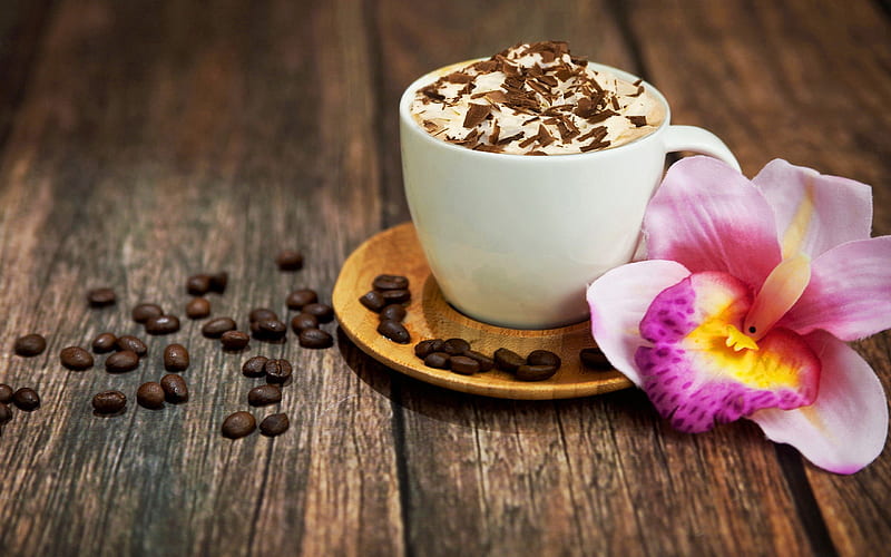 Cappuccino with chocolate, pretty, lovely, fresh, chocolate, cappuccino, bonito, nice, coffee, orchid, cup, flower, means, morning, cream, HD wallpaper