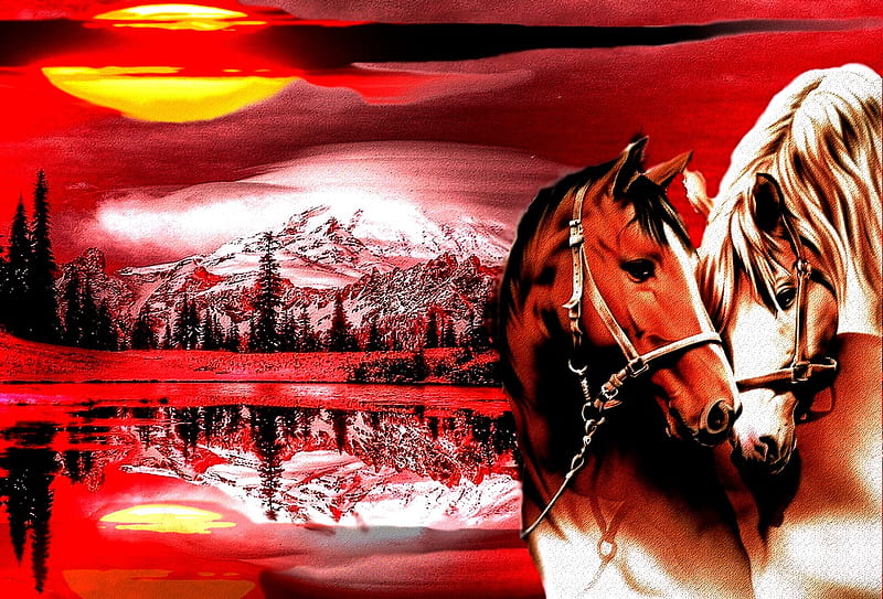 HORSE LOVE, couleur, horse, astral, 2012, HD wallpaper