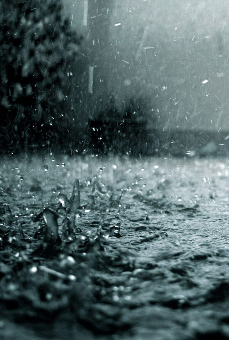 Rainy, drops, nature, rain, HD phone wallpaper