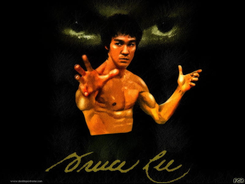 Bruce Lee, martial arts, movies, tv, HD wallpaper