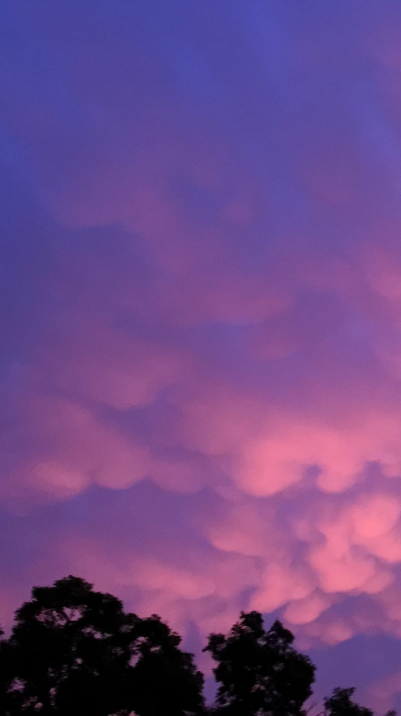 Sunset Purple, pink, purple, sky, sunset, HD phone wallpaper | Peakpx