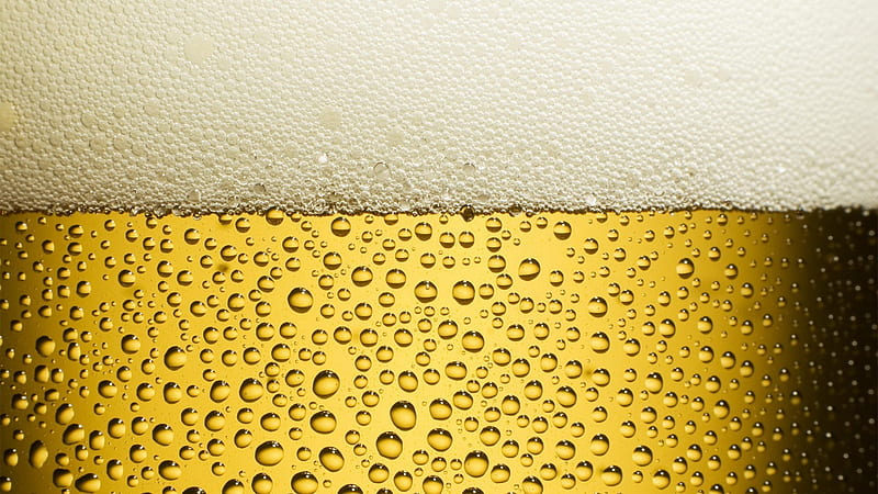 Beer Drink, beer, celebrations, drink, HD wallpaper