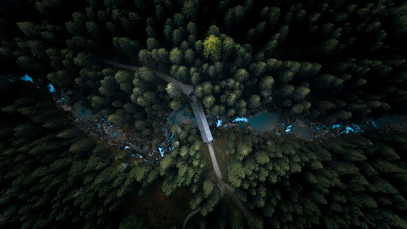 Aerial View Forest , aerial, forest, nature, graphy, behance, HD wallpaper