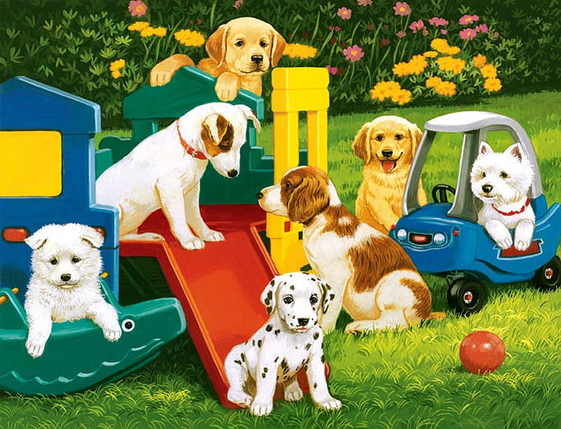 Puppy playground, pretty, colorful, grass, game, bonito, adorable, sweet, ball, nice, puppies, flowers, friends, animals, playing, lovely, playground, fun, park, joy, yard, cute, paws, garden, funny, HD wallpaper