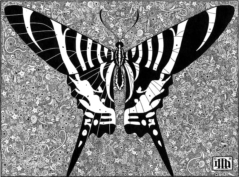 Large Black & White Butterfly, skeleton, dots, circles, black and white, illustration, butterfly, oval, texture, flowers, low-res, frogs, stars, line art, triangle, detail, black, starfish, 946x702, shells, white, HD wallpaper