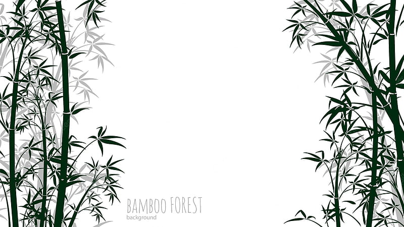 Premium Vector. Bamboo forest background. chinese, japanese tropical rainforest, HD wallpaper
