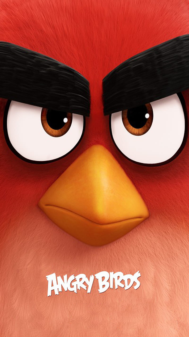 Angry Bird, angry, bird, cartoon, fun, game, play, HD phone wallpaper |  Peakpx