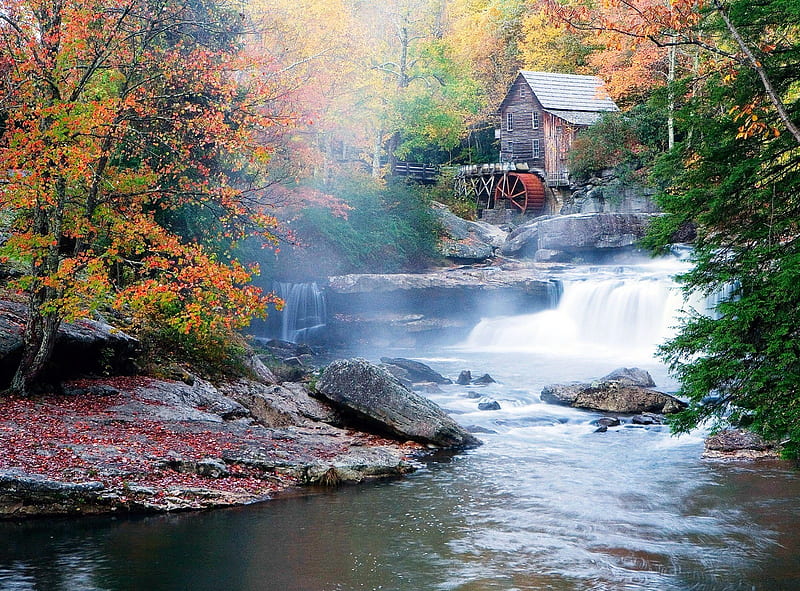 Mill in the Autumn Woods, rocks, foggy, grass, orange, scarlet, yellow, fog, nice, stones, scenario, creeks, forests, waterscape, morning, paisage, rivers, paysage, houses, trees, pines, lagoons, waterfalls, water, cool, purple, mountains, awesome, violet, white, landscape, red, colorful, autumn, mill, gray, ambar, woods, bonito, seasons, trunks, green, amber, moss, land, scenery, blue, falls, amazing, lakes, foam, colors, pond, paisagem, plants, nature, reflected, frozen, reflections, natural, scene, scarlat, HD wallpaper