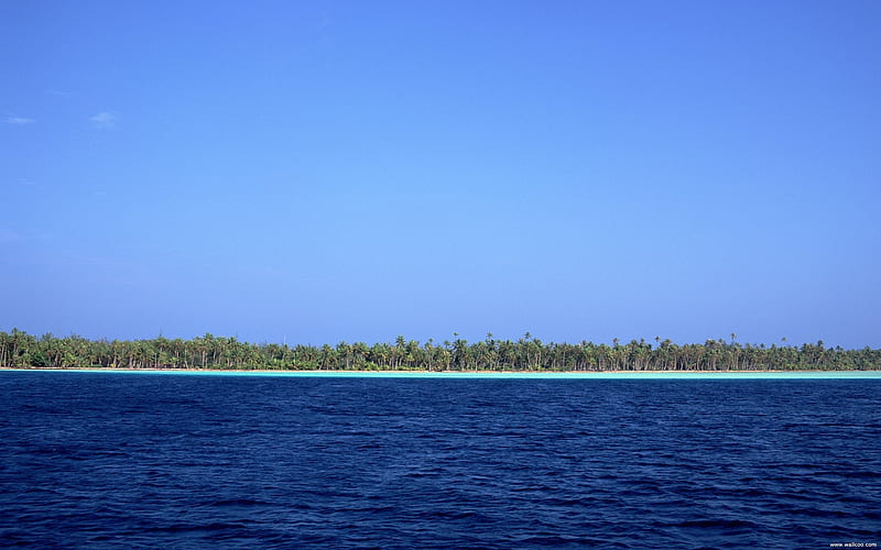 coconut island, HD wallpaper