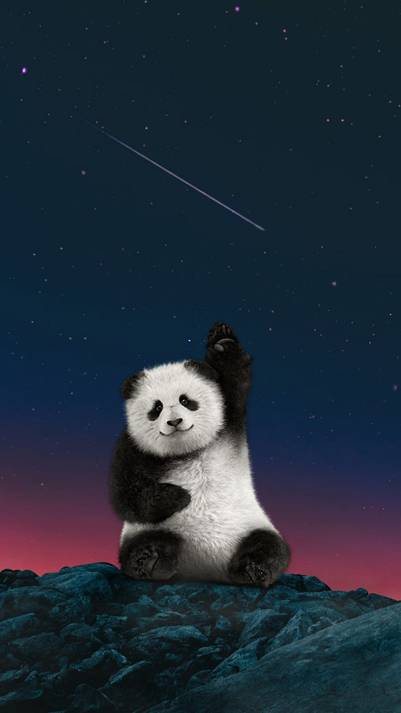 Panda, 