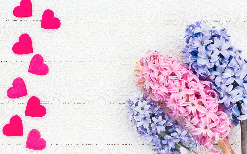 Happy Valentine's Day!, hyacinth, heart, flower, valentine, spring, pink, white, blue, HD wallpaper