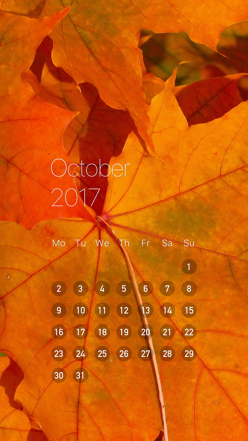 October leaf clean c, calendar, october, oct, productivity, HD phone wallpaper