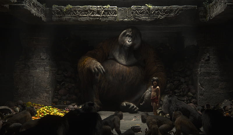 The Jungle Book (2016), movie, mowgli, monkey, boy, fantasy, dark, the jungle book, gorilla, disney, HD wallpaper