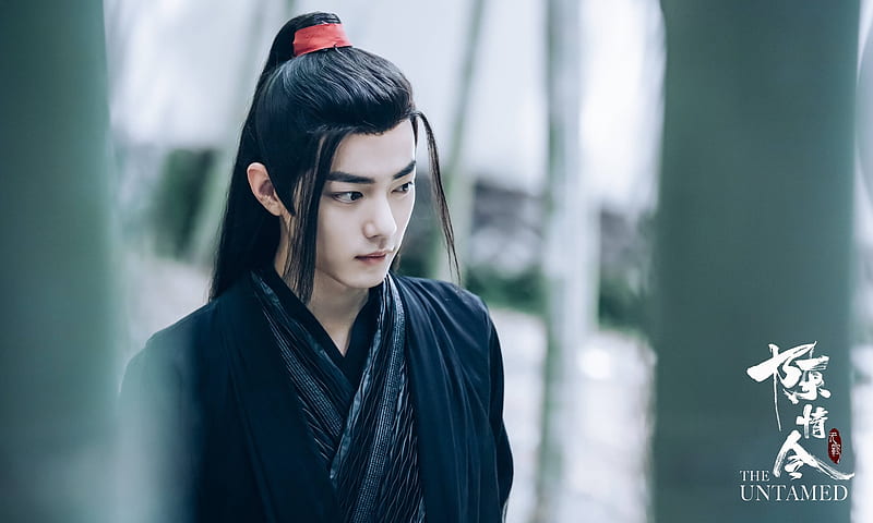 TV Show, The Untamed, Wei Wuxian, Wei Ying, Xiao Zhan, HD wallpaper