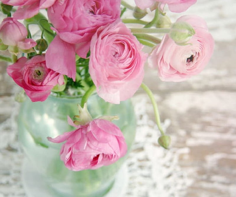 Beautiful pink ranunculus, still life, ranunculus, flowers, abstract ...