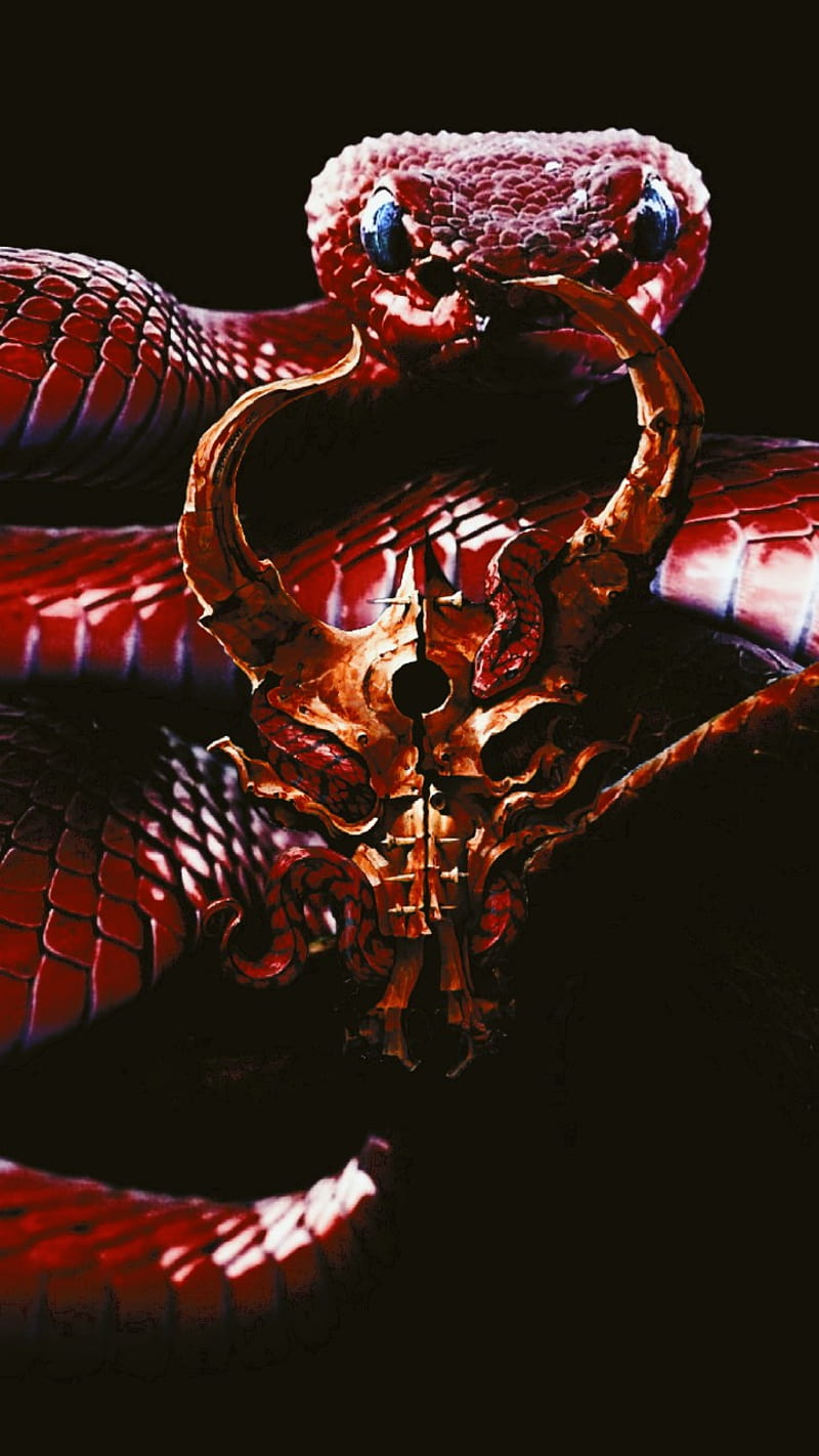 Demon Hunter 07 2, snake, snakes, viper, reptile, skull, demonhunter, the triptych, dark, red, animals, HD phone wallpaper