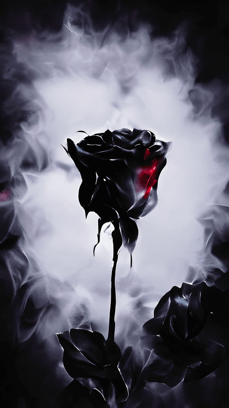 Premium Photo  A black background with a red rose and a black background
